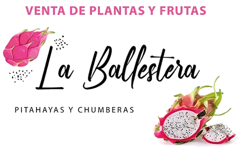 Pitayas y Chumberas la Ballestera logo